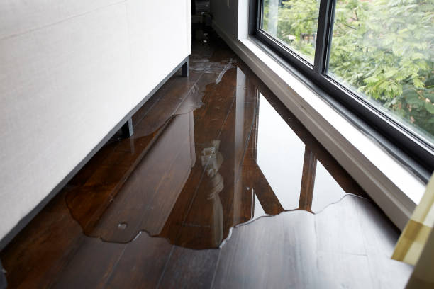 residential rapid structural drying